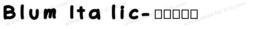 Blum Italic字体转换